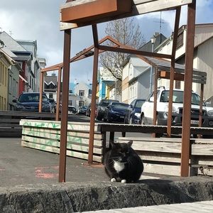 Meet your Posher, Erroll